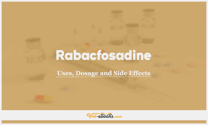 Rabacfosadine In Dogs & Cats: Uses, Dosage and Side Effects