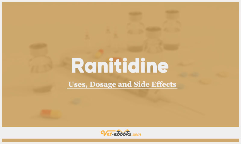 Ranitidine In Dogs & Cats: Uses, Dosage and Side Effects