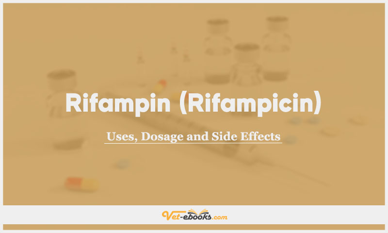 Rifampin (Rifampicin) In Dogs & Cats: Uses, Dosage and Side Effects