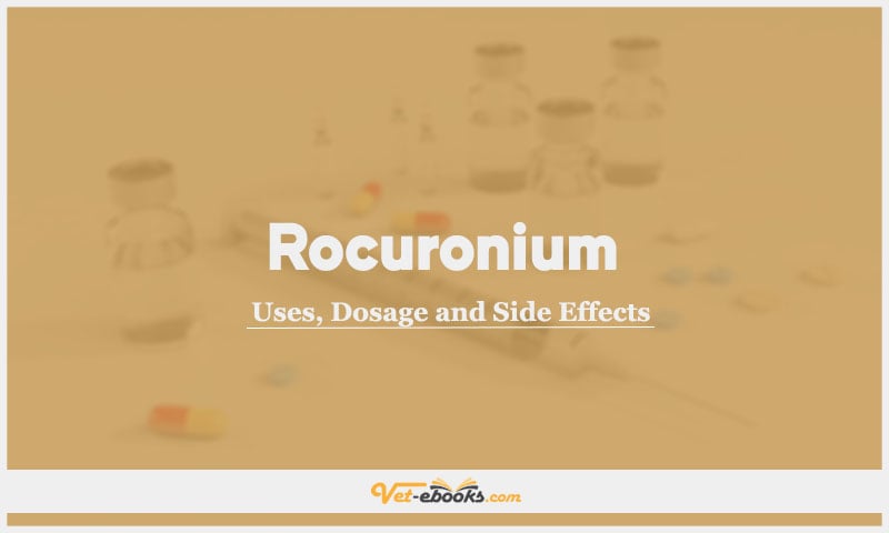 Rocuronium In Dogs & Cats: Uses, Dosage and Side Effects
