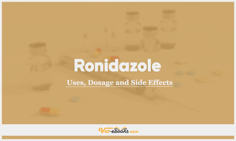 Ronidazole In Dogs & Cats: Uses, Dosage and Side Effects