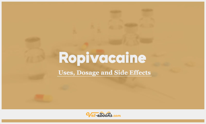 Ropivacaine In Dogs & Cats: Uses, Dosage and Side Effects