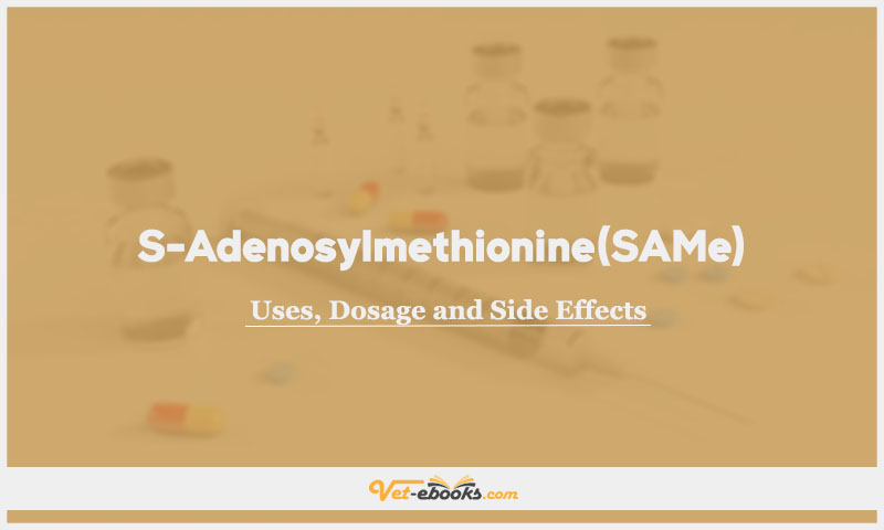 S-Adenosylmethionine (SAMe) In Dogs & Cats: Uses, Dosage and Side Effects