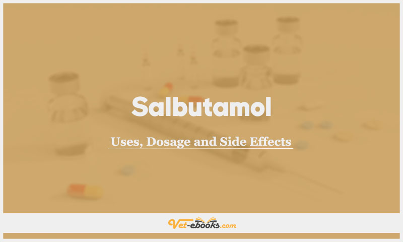 Salbutamol In Dogs & Cats: Uses, Dosage and Side Effects