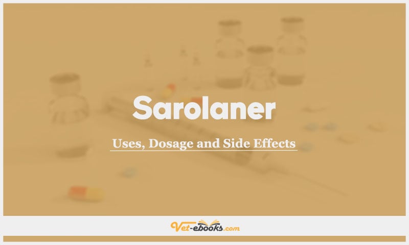 Sarolaner In Dogs & Cats: Uses, Dosage and Side Effects