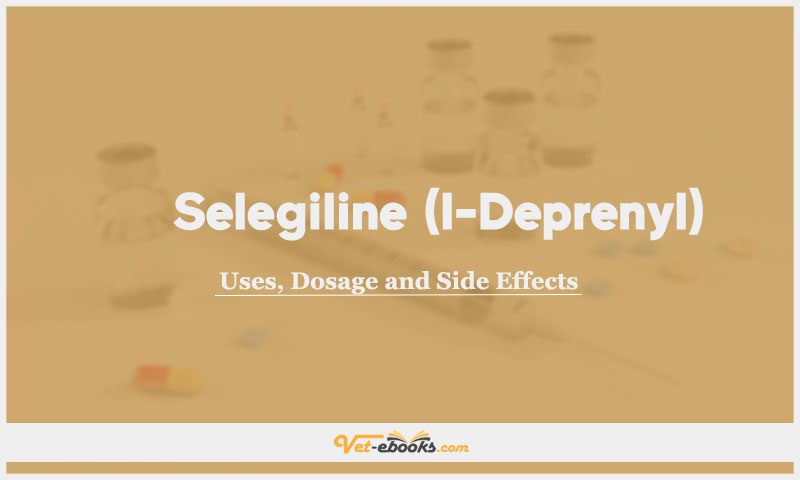 Selegiline (l-Deprenyl) In Dogs & Cats: Uses, Dosage and Side Effects