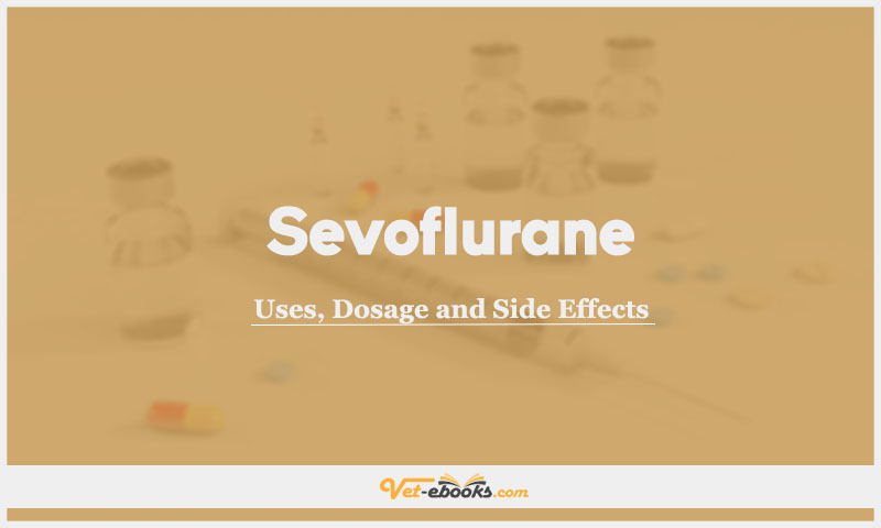 Sevoflurane In Dogs & Cats: Uses, Dosage and Side Effects