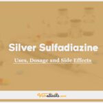 Silver Sulfadiazine In Dogs & Cats: Uses, Dosage and Side Effects