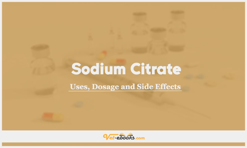 Sodium Citrate In Dogs & Cats: Uses, Dosage and Side Effects