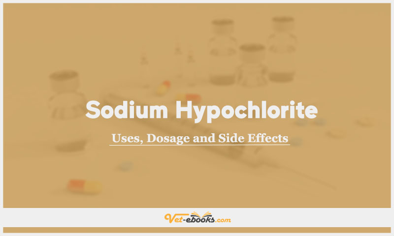 Sodium Hypochlorite In Dogs & Cats: Uses, Dosage and Side Effects