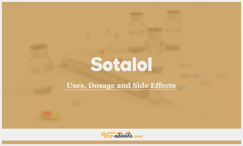 Sotalol In Dogs & Cats: Uses, Dosage and Side Effects
