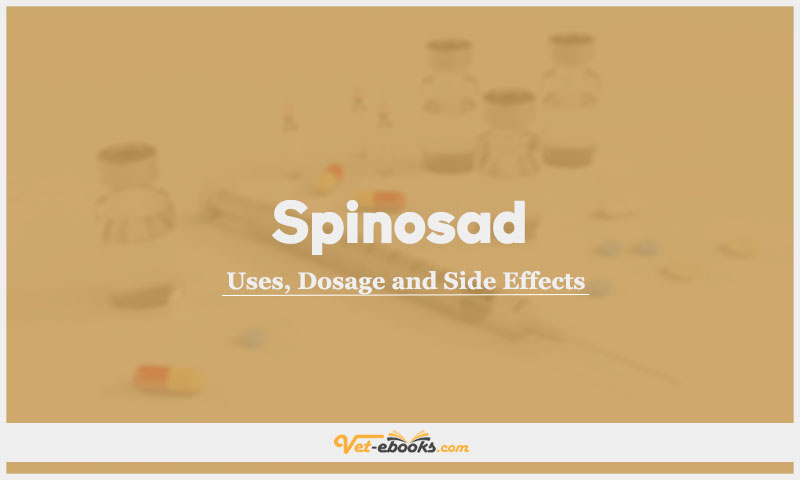 Spinosad In Dogs & Cats: Uses, Dosage and Side Effects