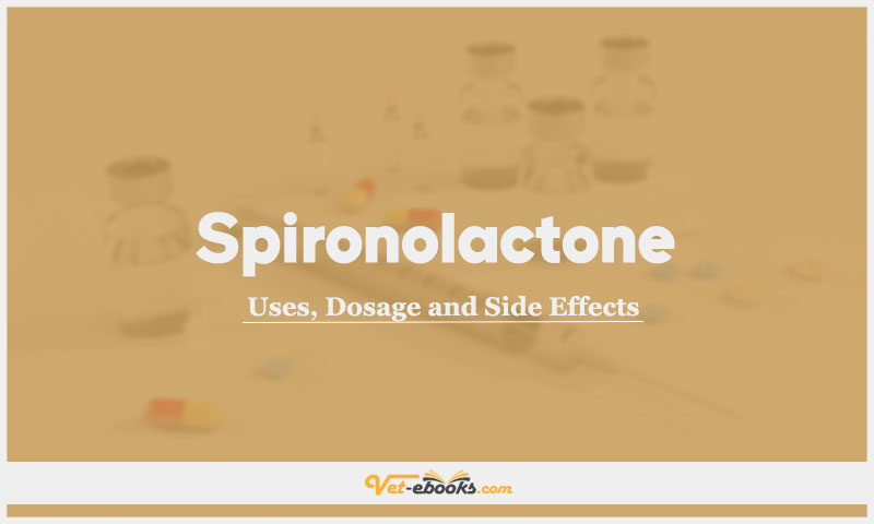 Spironolactone In Dogs & Cats: Uses, Dosage and Side Effects