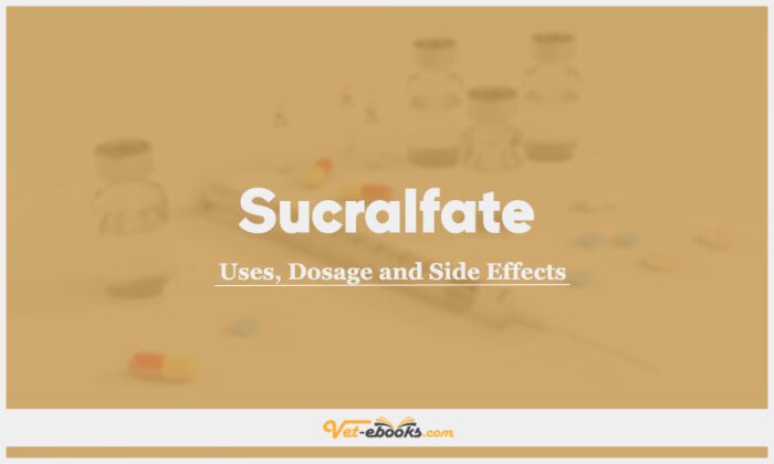 Sucralfate Dose For Dogs & Cats | Vet Drugs List