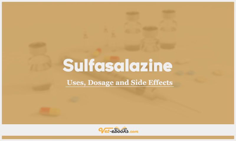 Sulfasalazine In Dogs & Cats: Uses, Dosage and Side Effects