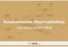 Suxamethonium (Succinylcholine) In Dogs & Cats: Uses, Dosage and Side Effects