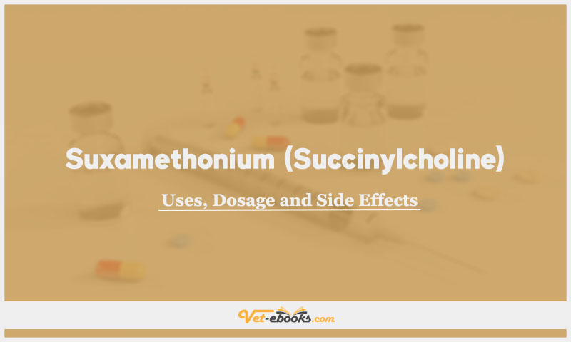 Suxamethonium (Succinylcholine) In Dogs & Cats: Uses, Dosage and Side Effects