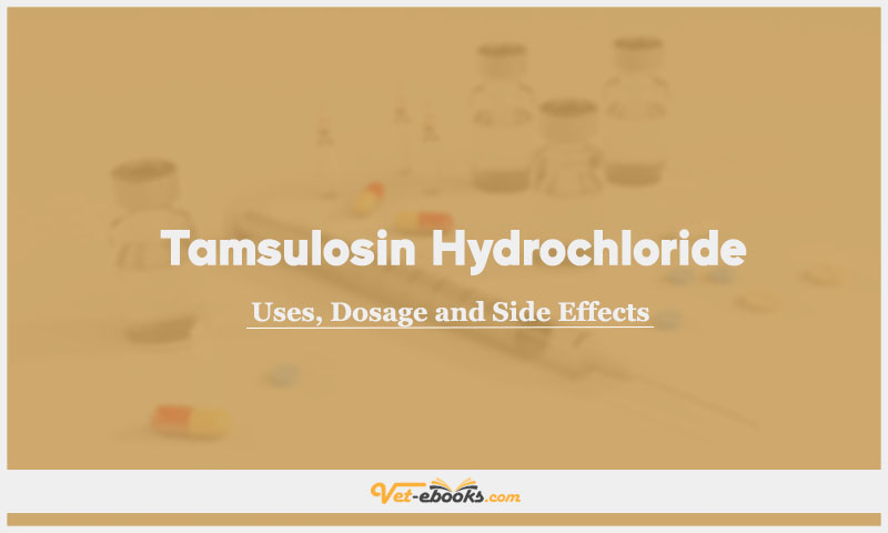 Tamsulosin hydrochloride In Dogs & Cats: Uses, Dosage and Side Effects