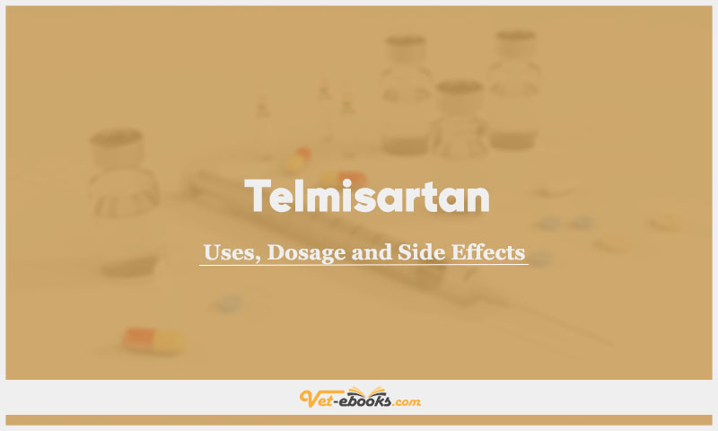 Telmisartan In Dogs & Cats: Uses, Dosage and Side Effects