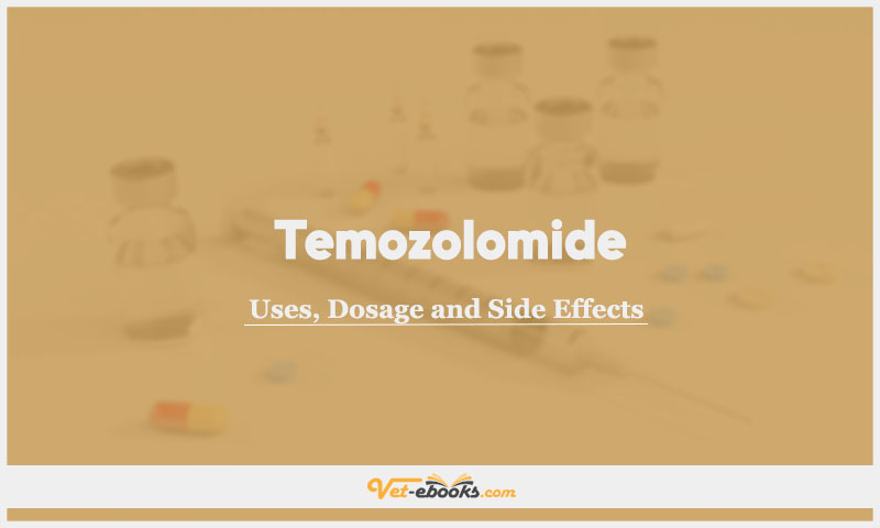 Temozolomide In Dogs & Cats: Uses, Dosage and Side Effects