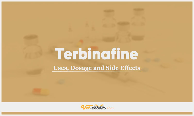 Terbinafine In Dogs & Cats: Uses, Dosage and Side Effects