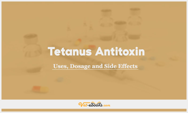 Tetanus Antitoxin In Dogs & Cats: Uses, Dosage and Side Effects