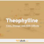 Theophylline In Dogs & Cats: Uses, Dosage and Side Effects
