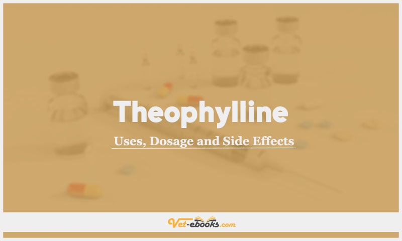 Theophylline In Dogs & Cats: Uses, Dosage and Side Effects