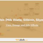 Silybin (Milk thistle, Silibinin, Silymarin) In Dogs & Cats: Uses, Dosage and Side Effects