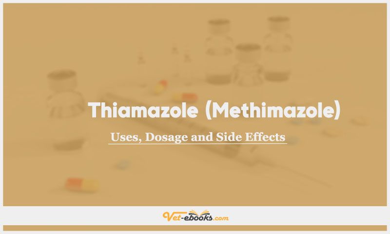 Thiamazole (Methimazole) In Dogs & Cats: Uses, Dosage and Side Effects