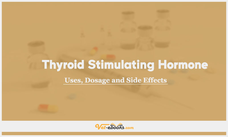 Thyroid-stimulating hormone
(Thyrotropin alfa, TSH) In Dogs & Cats: Uses, Dosage and Side Effects