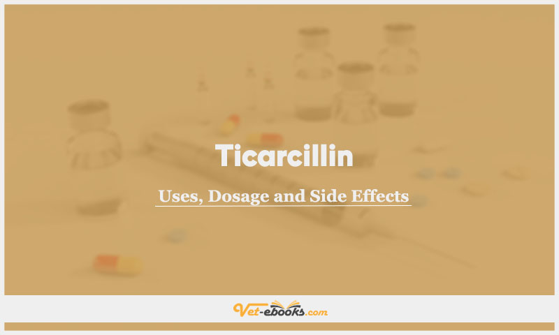 Ticarcillin In Dogs & Cats: Uses, Dosage and Side Effects
