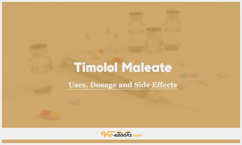 Timolol Maleate In Dogs & Cats: Uses, Dosage and Side Effects