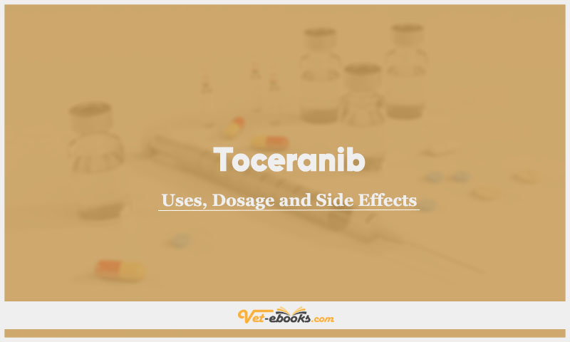 Toceranib In Dogs & Cats: Uses, Dosage and Side Effects
