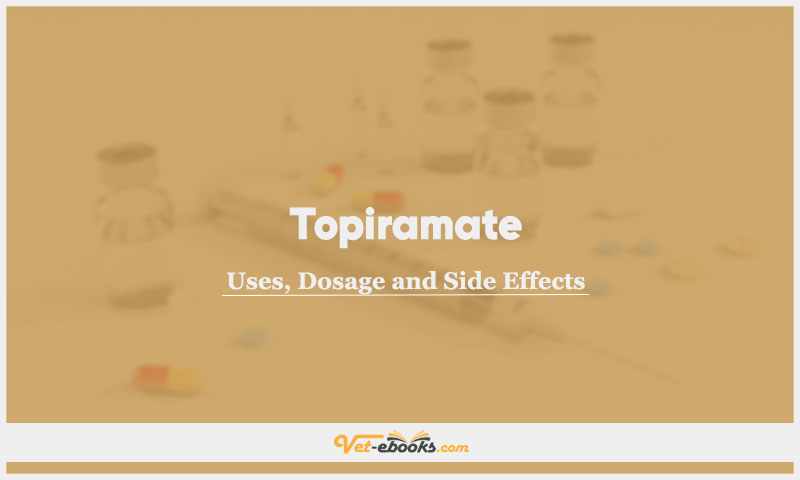 Topiramate In Dogs & Cats: Uses, Dosage and Side Effects