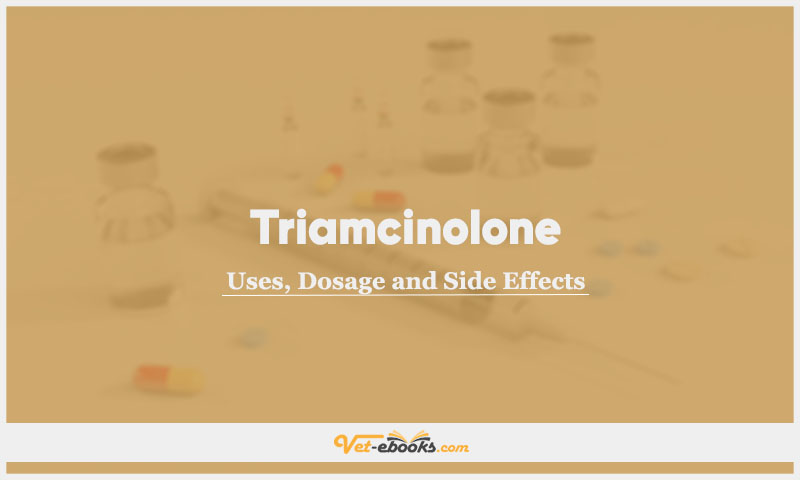 Triamcinolone In Dogs & Cats: Uses, Dosage and Side Effects