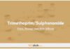 Trimethoprim/Sulphonamide In Dogs & Cats: Uses, Dosage and Side Effects