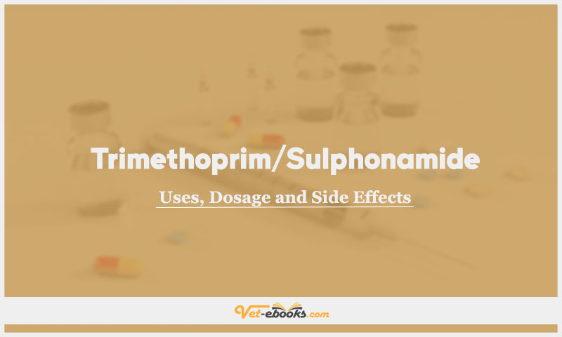 Trimethoprim/Sulphonamide In Dogs & Cats: Uses, Dosage and Side Effects