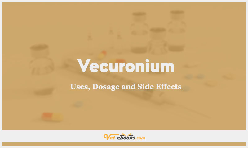 Vecuronium In Dogs & Cats: Uses, Dosage and Side Effects