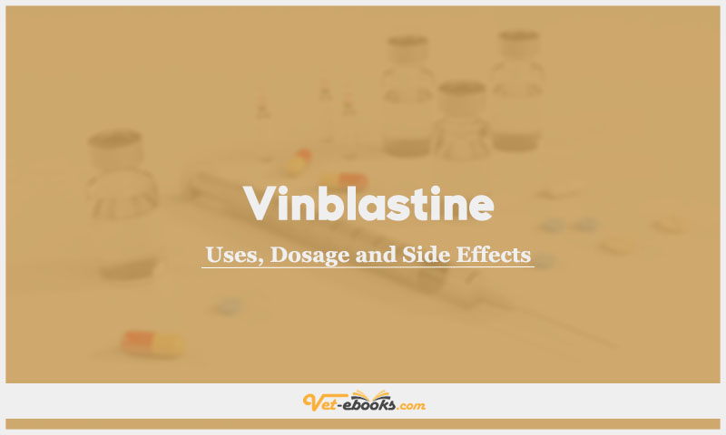 Vinblastine In Dogs & Cats: Uses, Dosage and Side Effects