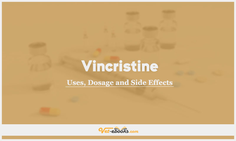 Vincristine In Dogs & Cats: Uses, Dosage and Side Effects