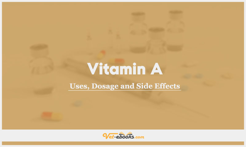 Vitamin A (Retinol, Isotretinoin, Tretinoin) In Dogs & Cats: Uses, Dosage and Side Effects
