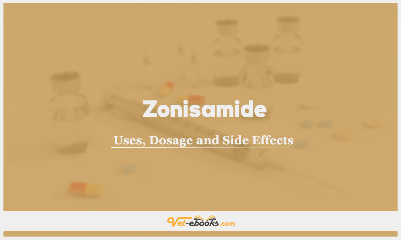 Zonisamide In Dogs & Cats: Uses, Dosage and Side Effects