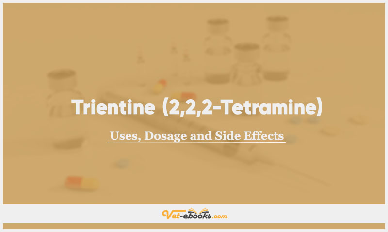 Trientine (2,2,2-Tetramine) In Dogs & Cats: Uses, Dosage and Side Effects