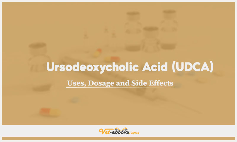 Ursodeoxycholic acid (UDCA) In Dogs & Cats: Uses, Dosage and Side Effects