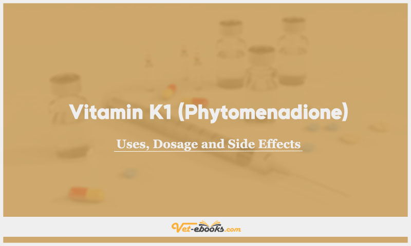 Vitamin K1 (Phytomenadione) In Dogs & Cats: Uses, Dosage and Side Effects