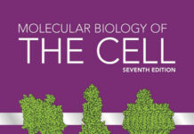 Molecular Biology of the Cell 7th Edition PDF