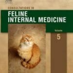 Consultations in Feline Internal Medicine 5th Edition PDF