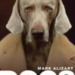 Dogs: A Philosophical Guide to Our Best Friends