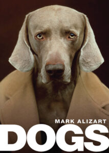 Dogs: A Philosophical Guide to Our Best Friends
